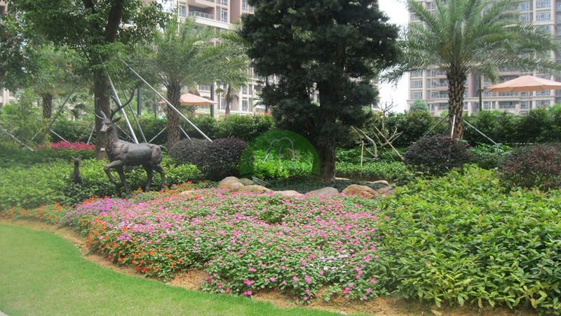 小区草坪铺设费用明细揭秘：成本构成与影响因素**