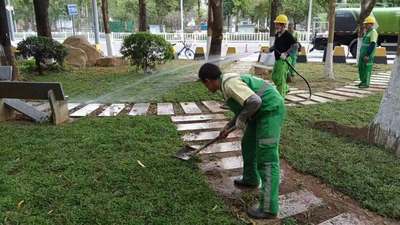 市政绿化养护费用：揭秘一平方背后的成本构成