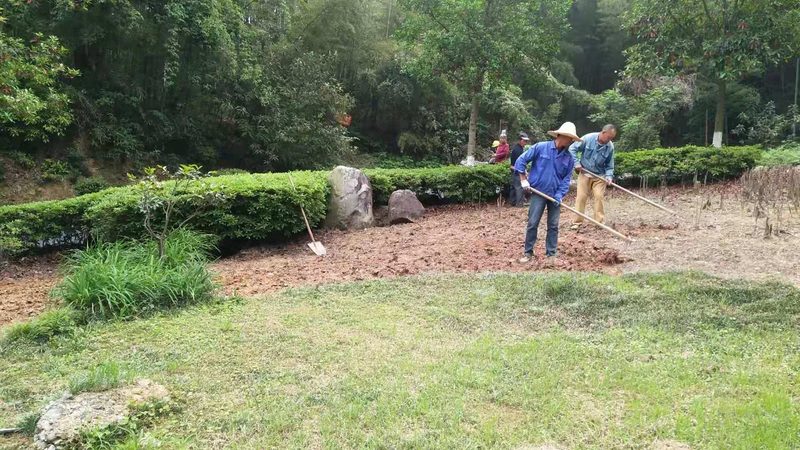 苗木种植报价单：如何科学制定？**