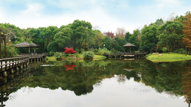小区绿化预算编制，这五个步骤不容忽视