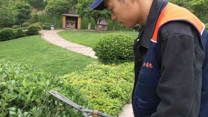 苗木种植基地批发价格与零售价格，有何不同？**