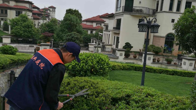 别墅花园设计：如何避免掉入设计陷阱**