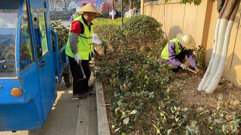 树池尺寸选择：园林工程中的关键一环