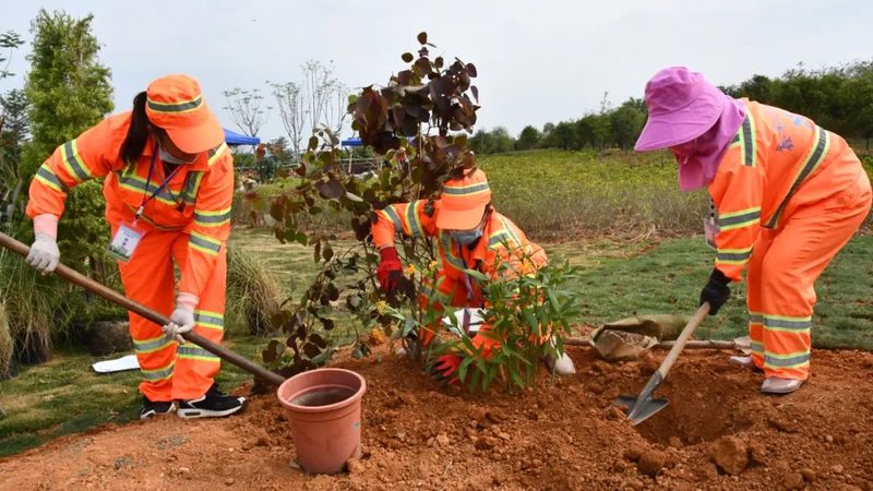 边坡绿化挂网客土喷播：揭秘其价格构成与选择要点**