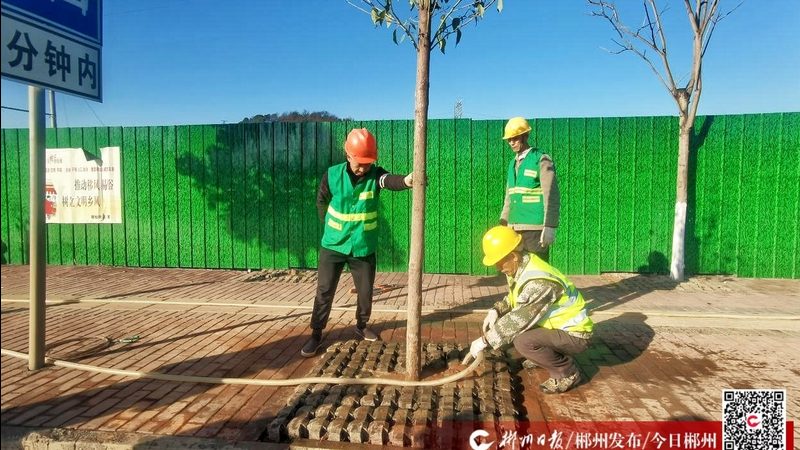 立体绿化灌溉系统：如何构建高效节水方案**