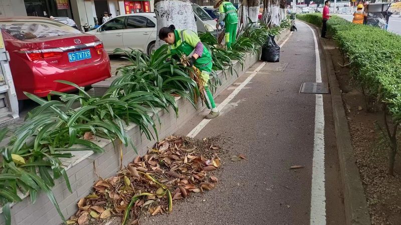 私人别墅花园设计报价：揭秘合理预算的关键要素**
