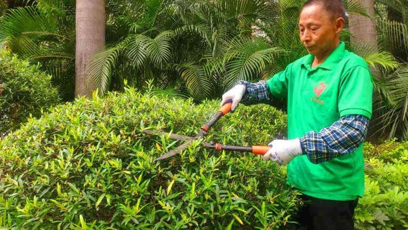 公园绿化工程报价预算，如何科学制定？**
