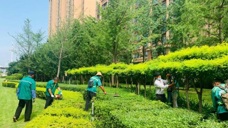 屋顶花园绿化：报价背后的规范与考量